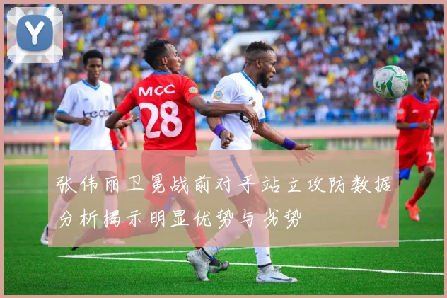 张伟丽卫冕战前对手站立攻防数据分析揭示明显优势与劣势